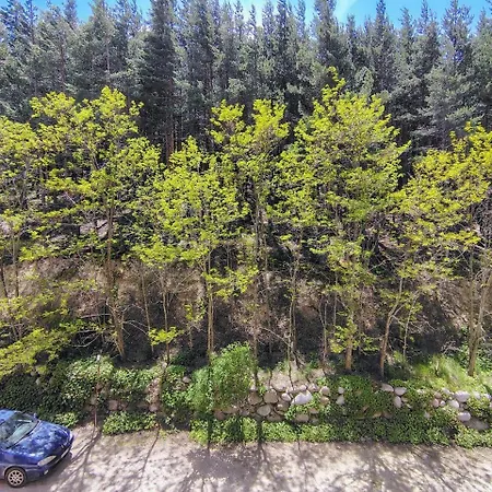 דירה Panorama בנסקו